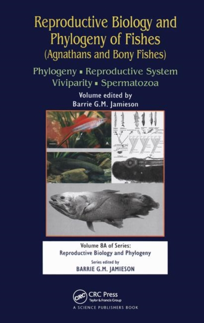 Reproductive Biology and Phylogeny of Fishes (Agnathans and Bony Fishes) : Phylogeny, Reproductive System, Viviparity, Spermatozoa, Paperback / softback Book