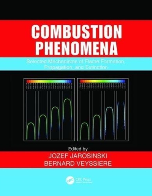 Combustion Phenomena : Selected Mechanisms of Flame Formation, Propagation and Extinction, Paperback / softback Book