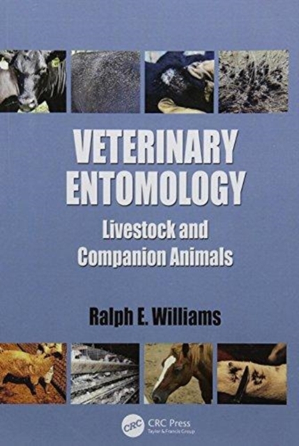 Veterinary Entomology : Livestock and Companion Animals, Paperback / softback Book