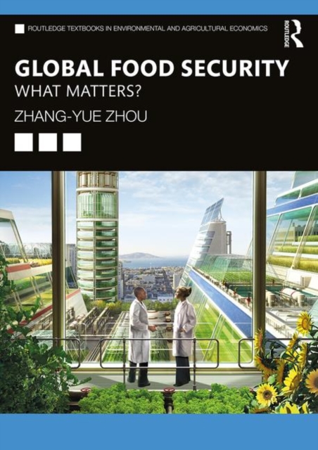 Global Food Security : What Matters?, Paperback / softback Book