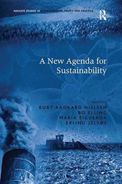 A New Agenda for Sustainability, Paperback / softback Book