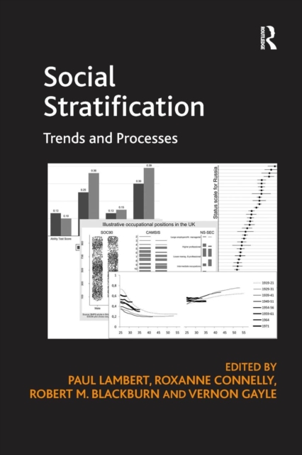 Social Stratification : Trends and Processes, Paperback / softback Book