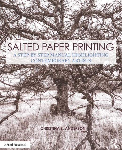 Salted Paper Printing : A Step-by-Step Manual Highlighting Contemporary Artists, Paperback / softback Book