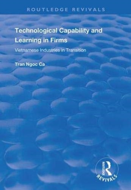 Technological Capability and Learning in Firms : Vietnamese Industries in Transition, Hardback Book