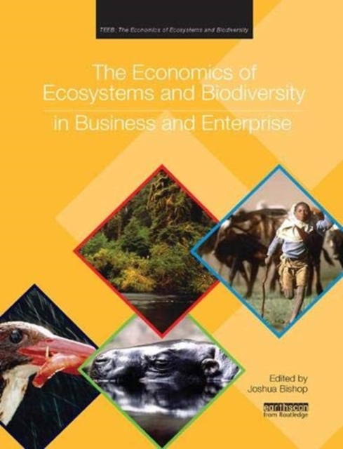 The Economics of Ecosystems and Biodiversity in Business and Enterprise, Paperback / softback Book