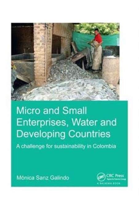 Micro and Small Enterprises, Water and Developing Countries : A Challenge for Sustainability in Colombia, Hardback Book