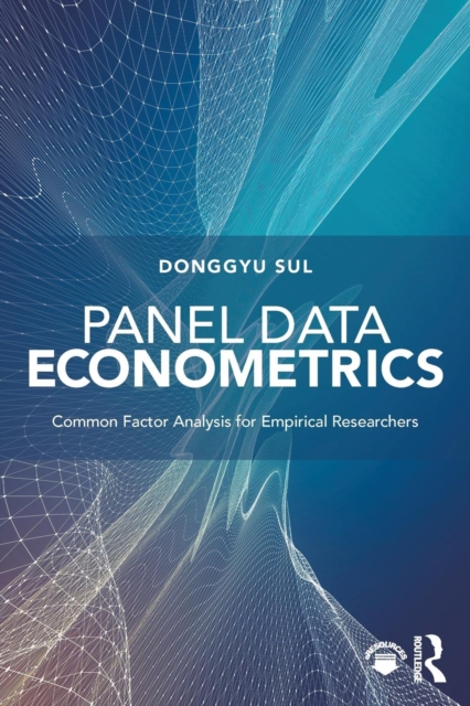 Panel Data Econometrics : Common Factor Analysis for Empirical Researchers, Paperback / softback Book