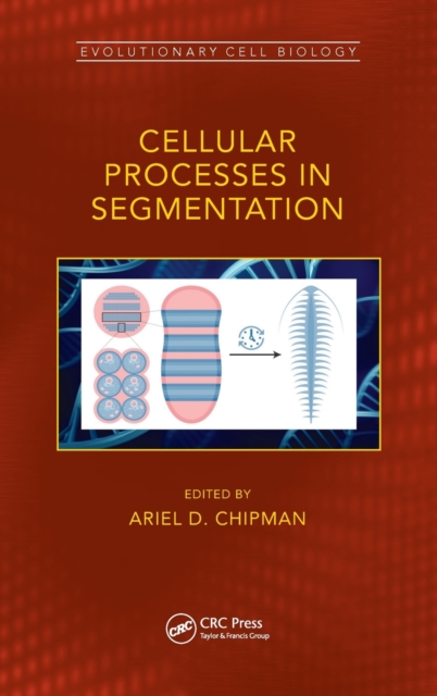 Cellular Processes in Segmentation, Hardback Book