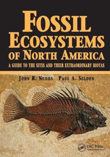 Fossil Ecosystems of North America : A Guide to the Sites and their Extraordinary Biotas, Hardback Book