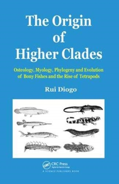 The Origin of Higher Clades : Osteology, Myology, Phylogeny and Evolution of Bony Fishes and the Rise of Tetrapods, Hardback Book