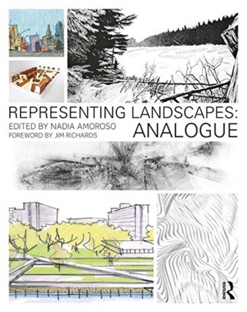Representing Landscapes : Analogue, Paperback / softback Book