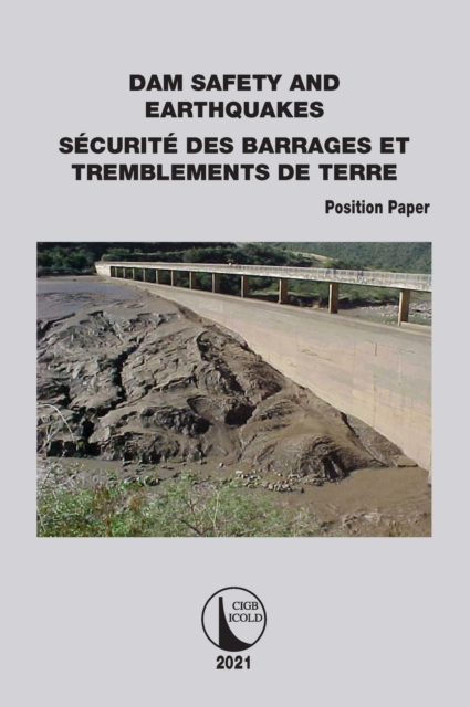 Position Paper Dam Safety and Earthquakes, Paperback / softback Book