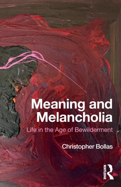 Meaning and Melancholia : Life in the Age of Bewilderment, Paperback / softback Book