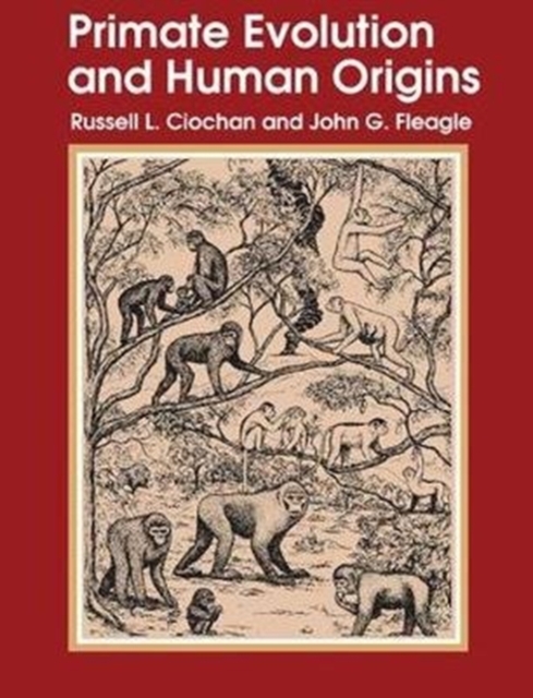 Primate Evolution and Human Origins, Hardback Book