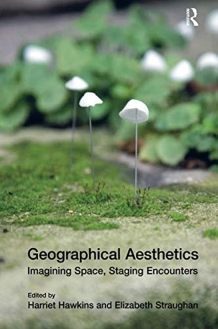 Geographical Aesthetics : Imagining Space, Staging Encounters, Paperback / softback Book