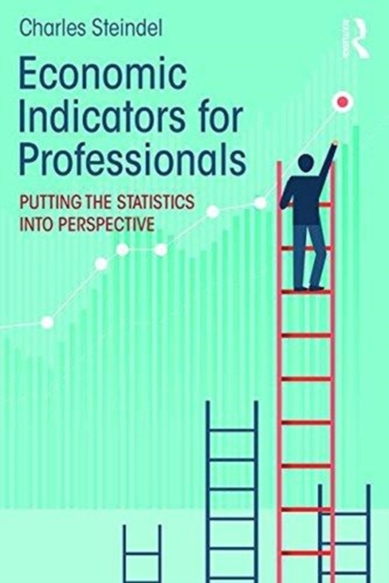 Economic Indicators for Professionals : Putting the Statistics into Perspective, Paperback / softback Book
