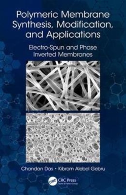 Polymeric Membrane Synthesis, Modification, and Applications : Electro-Spun and Phase Inverted Membranes, Hardback Book