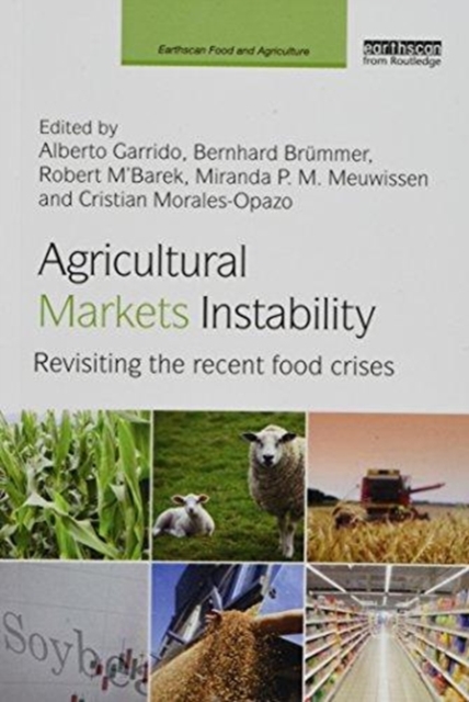 Agricultural Markets Instability : Revisiting the Recent Food Crises, Paperback / softback Book