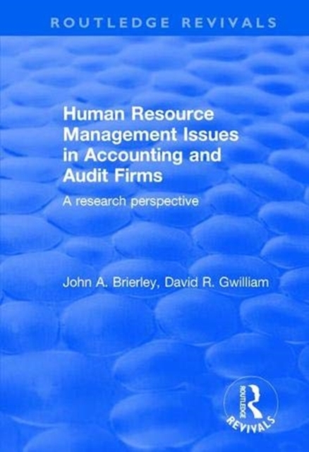 Human Resource Management Issues in Accounting and Auditing Firms : A Research Perspective, Paperback / softback Book