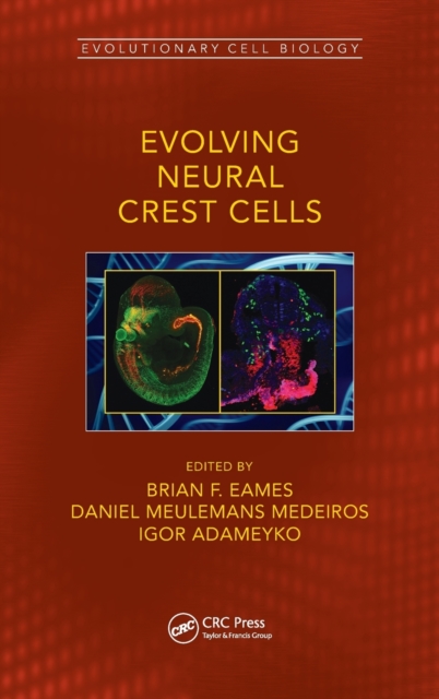 Evolving Neural Crest Cells, Hardback Book