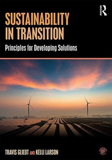 Sustainability in Transition : Principles for Developing Solutions, Paperback / softback Book