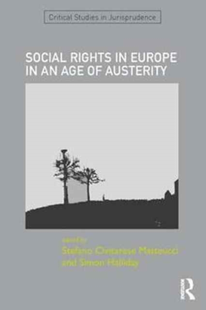 SOCIAL RIGHTS IN EUROPE IN AN AGE OF AUSTERITY, Hardback Book