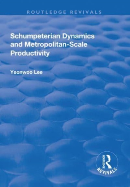 Schumpeterian Dynamics and Metropolitan-Scale Productivity, Paperback / softback Book
