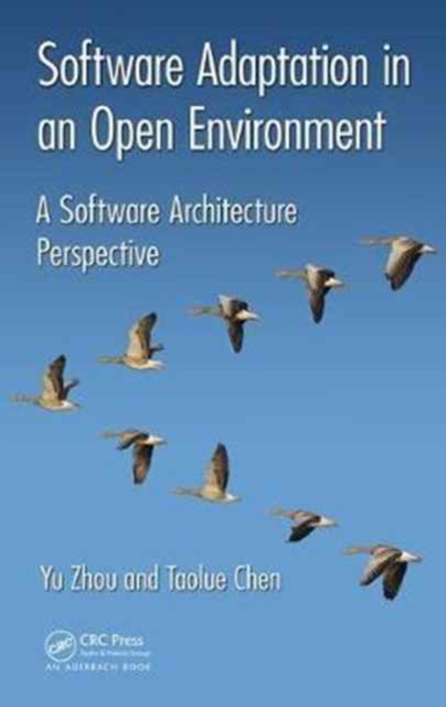 Software Adaptation in an Open Environment : A Software Architecture Perspective, Hardback Book