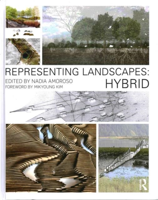 Representing Landscapes: Hybrid, Hardback Book