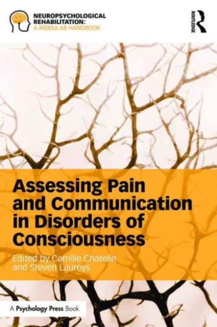 Assessing Pain and Communication in Disorders of Consciousness, Paperback / softback Book