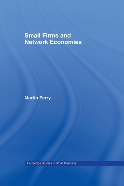 Small Firms and Network Economies, Paperback / softback Book