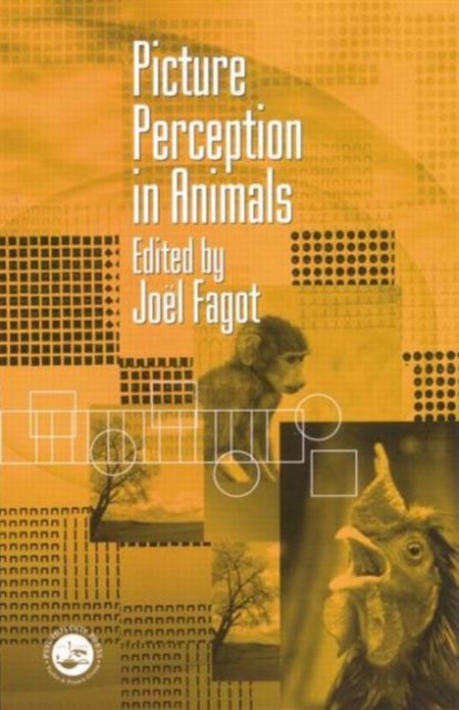 Picture Perception in Animals, Paperback / softback Book