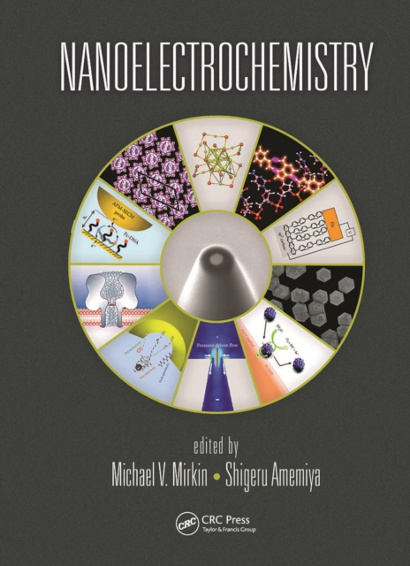 Nanoelectrochemistry, Paperback / softback Book