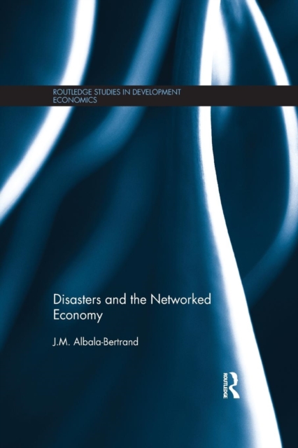Disasters and the Networked Economy, Paperback / softback Book