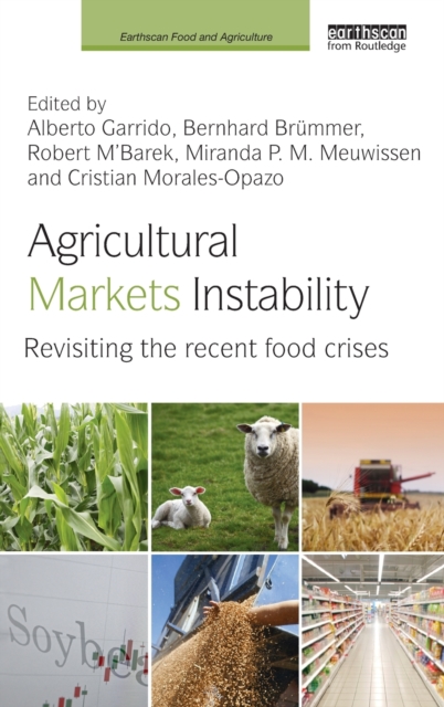 Agricultural Markets Instability : Revisiting the Recent Food Crises, Hardback Book