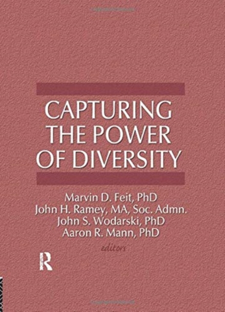Capturing the Power of Diversity, Paperback / softback Book