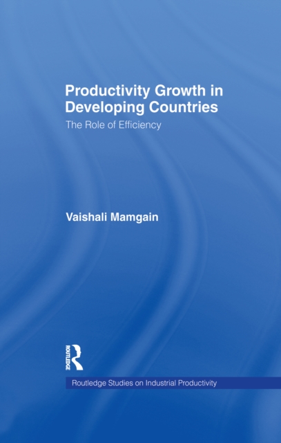 Productivity Growth in Developing Countries : The Role of Efficiency, Paperback / softback Book