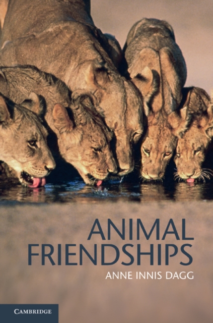Animal Friendships, EPUB eBook