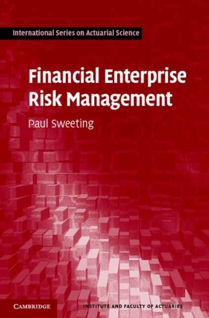Financial Enterprise Risk Management, PDF eBook