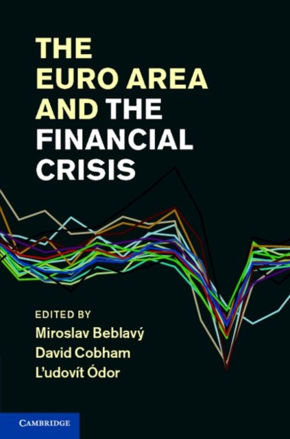 Euro Area and the Financial Crisis, PDF eBook