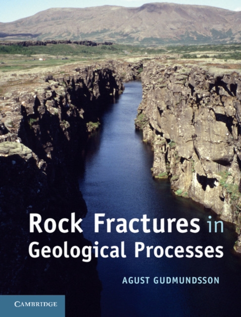 Rock Fractures in Geological Processes, EPUB eBook
