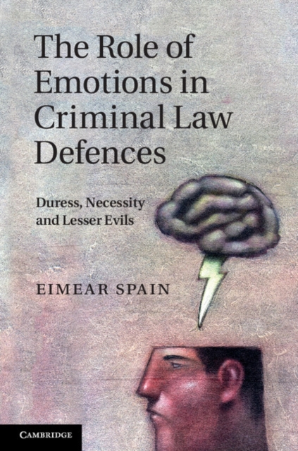 Role of Emotions in Criminal Law Defences : Duress, Necessity and Lesser Evils, EPUB eBook