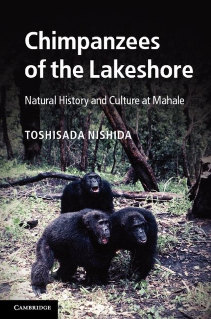 Chimpanzees of the Lakeshore : Natural History and Culture at Mahale, PDF eBook