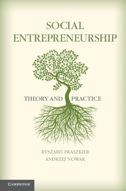 Social Entrepreneurship : Theory and Practice, EPUB eBook