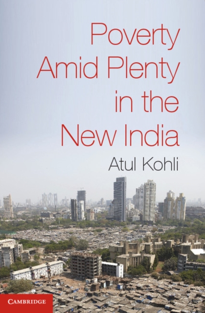Poverty amid Plenty in the New India, PDF eBook