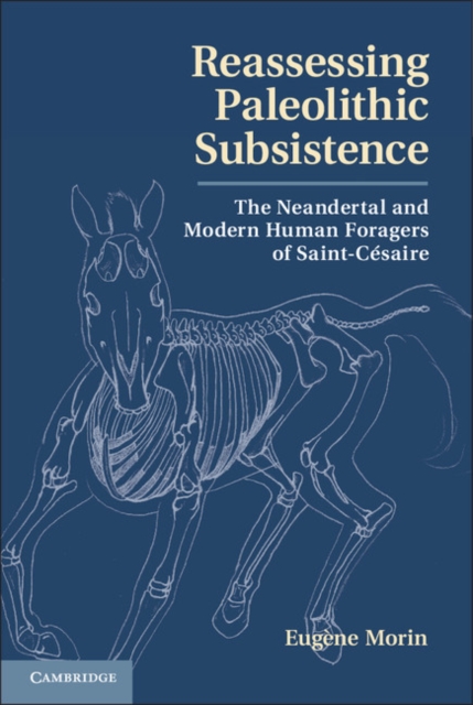 Reassessing Paleolithic Subsistence : The Neandertal and Modern Human Foragers of Saint-Cesaire, PDF eBook