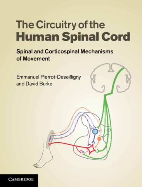 Circuitry of the Human Spinal Cord : Spinal and Corticospinal Mechanisms of Movement, EPUB eBook