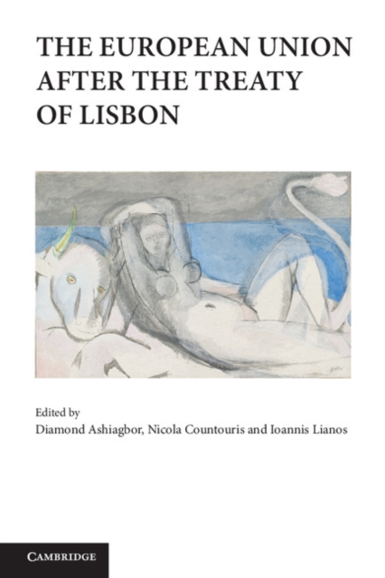 European Union after the Treaty of Lisbon, PDF eBook