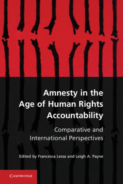Amnesty in the Age of Human Rights Accountability : Comparative and International Perspectives, PDF eBook