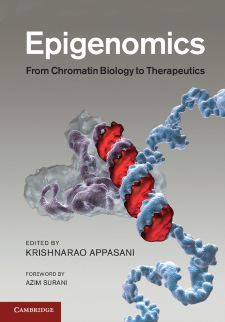 Epigenomics : From Chromatin Biology to Therapeutics, PDF eBook